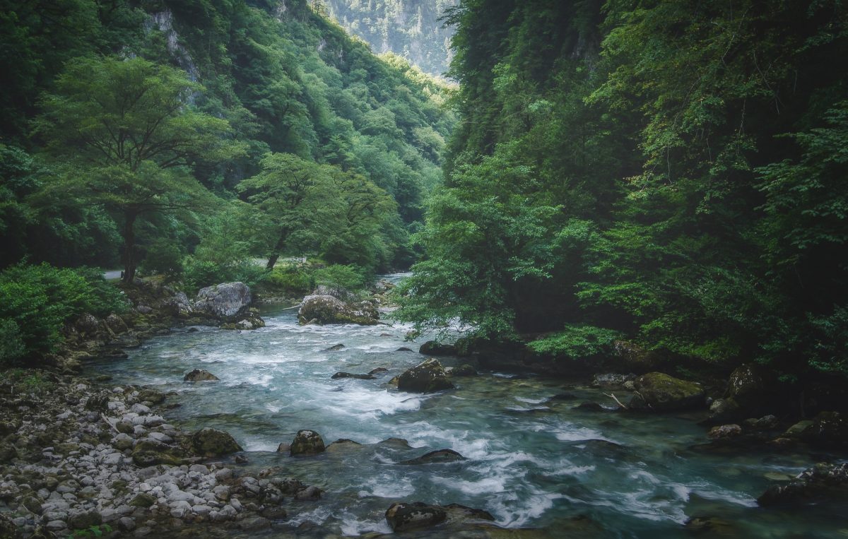 georgia